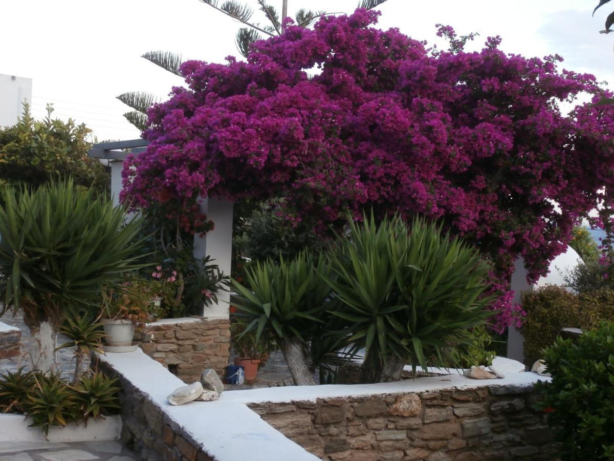 Galini Bungalows Κιόνια Εξωτερικό φωτογραφία