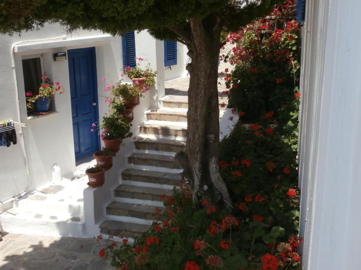 Galini Bungalows Κιόνια Εξωτερικό φωτογραφία
