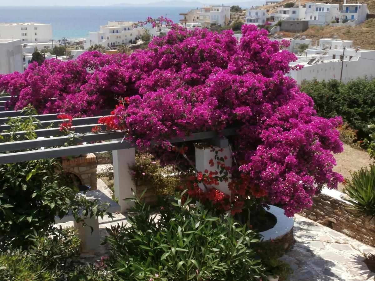 Galini Bungalows Κιόνια Εξωτερικό φωτογραφία