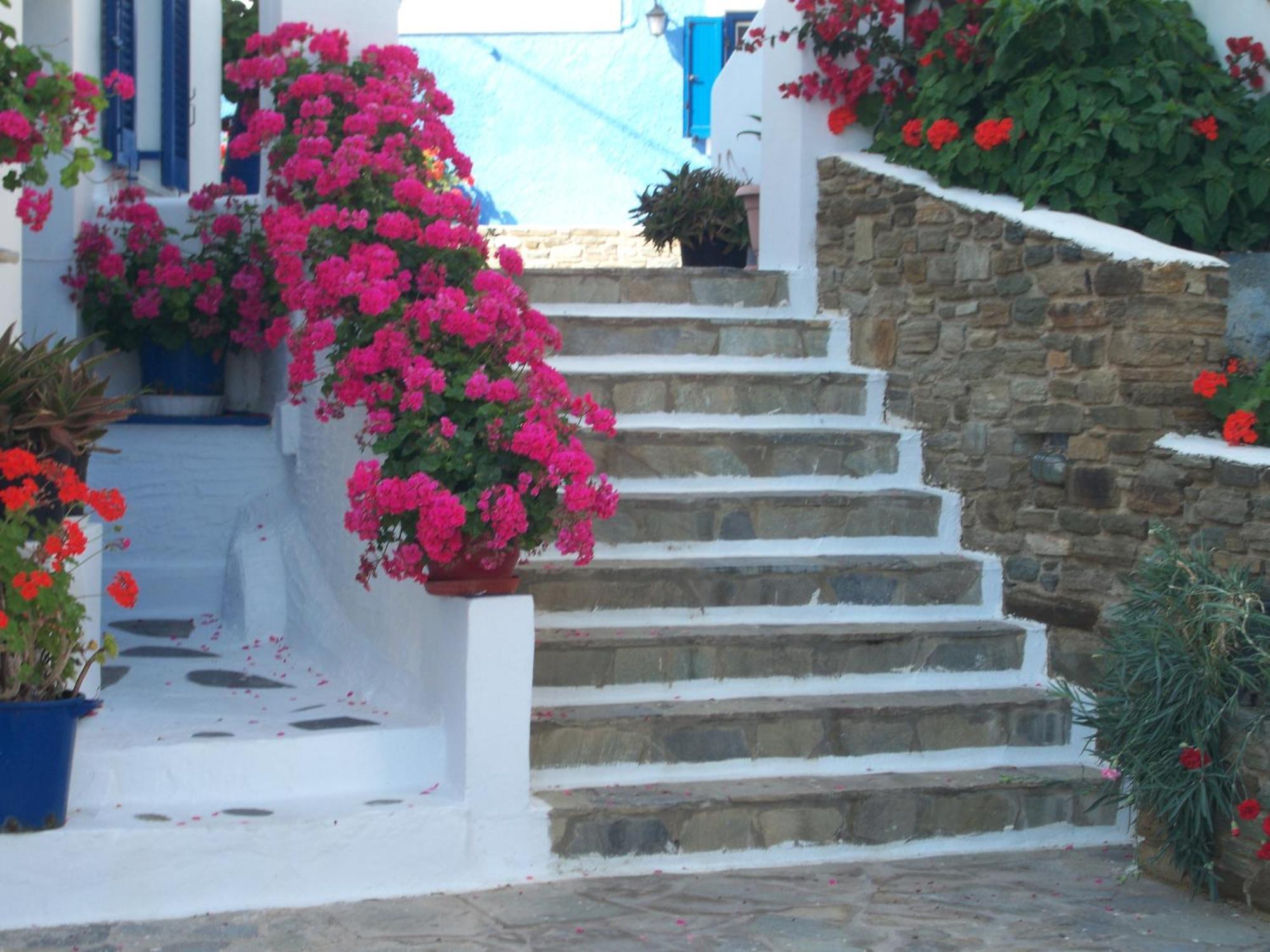 Galini Bungalows Κιόνια Δωμάτιο φωτογραφία